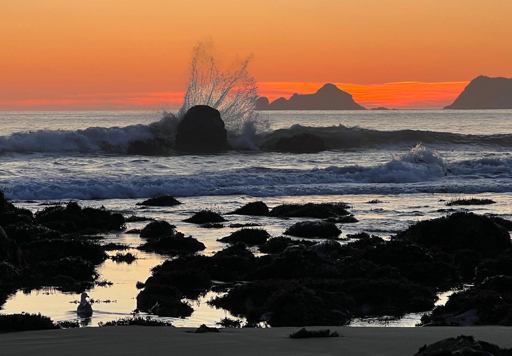 The Cove At Port Orford - 5 Ocean Front Suites 외부 사진