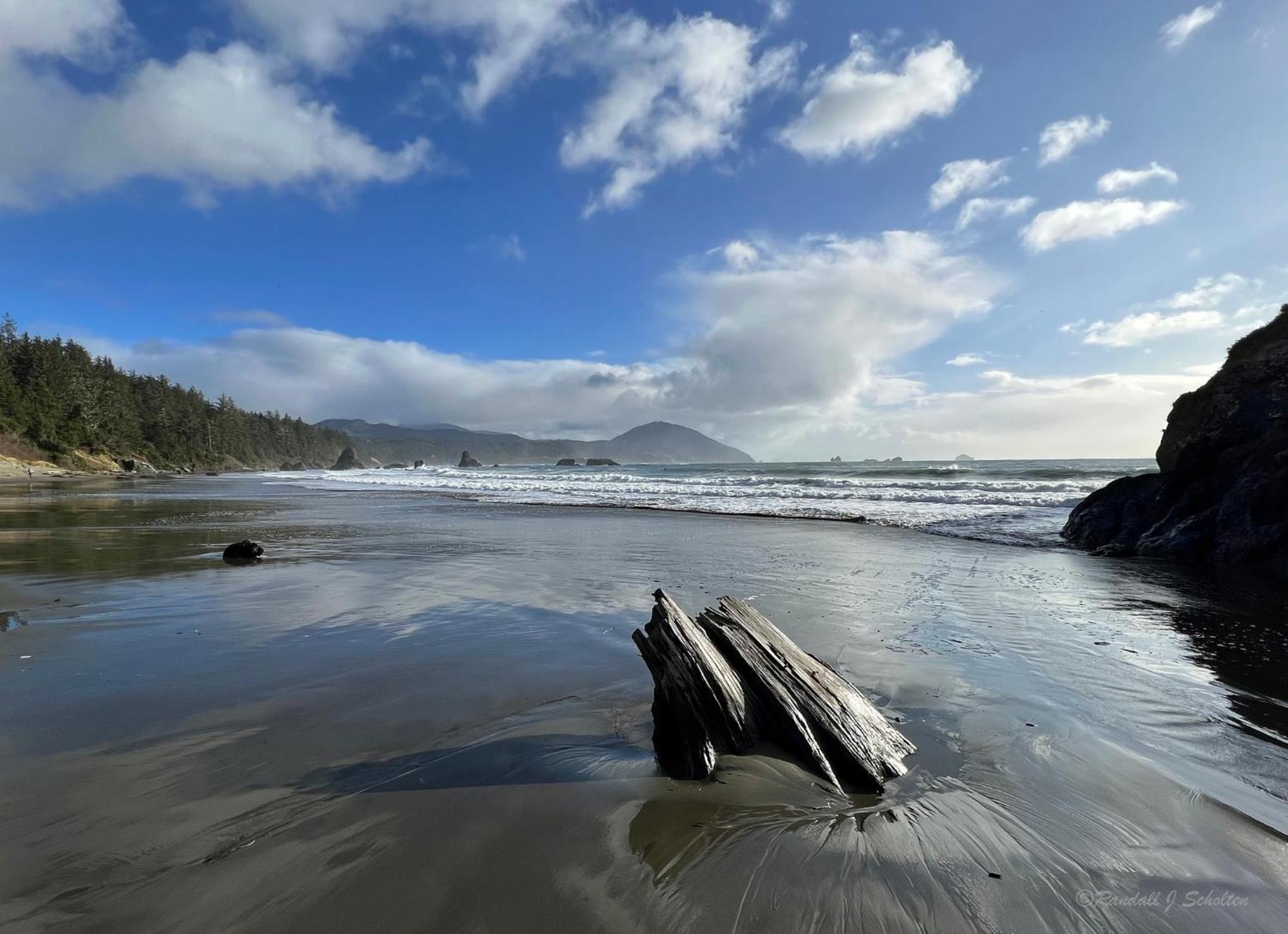 The Cove At Port Orford - 5 Ocean Front Suites 외부 사진