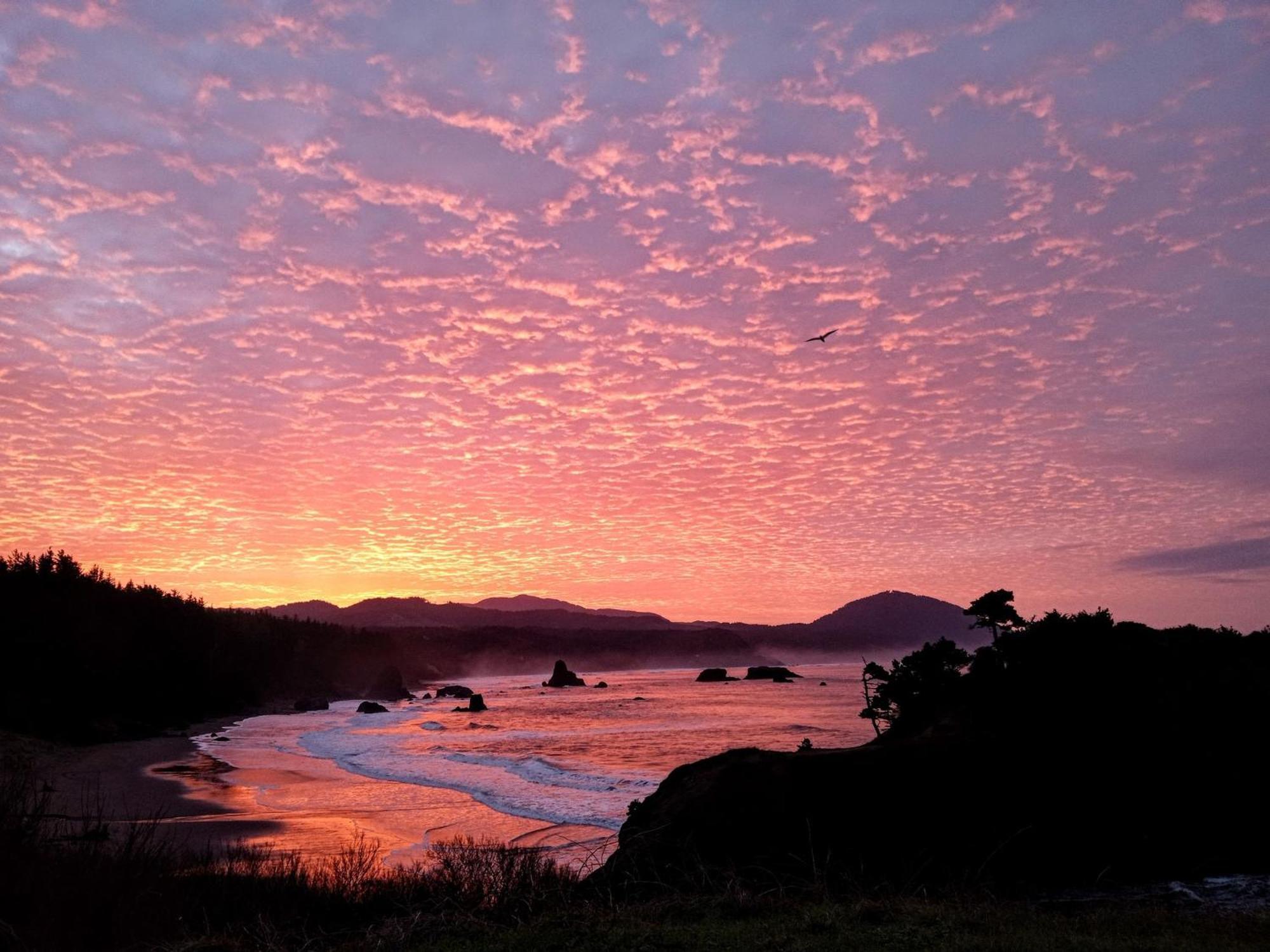 The Cove At Port Orford - 5 Ocean Front Suites 외부 사진