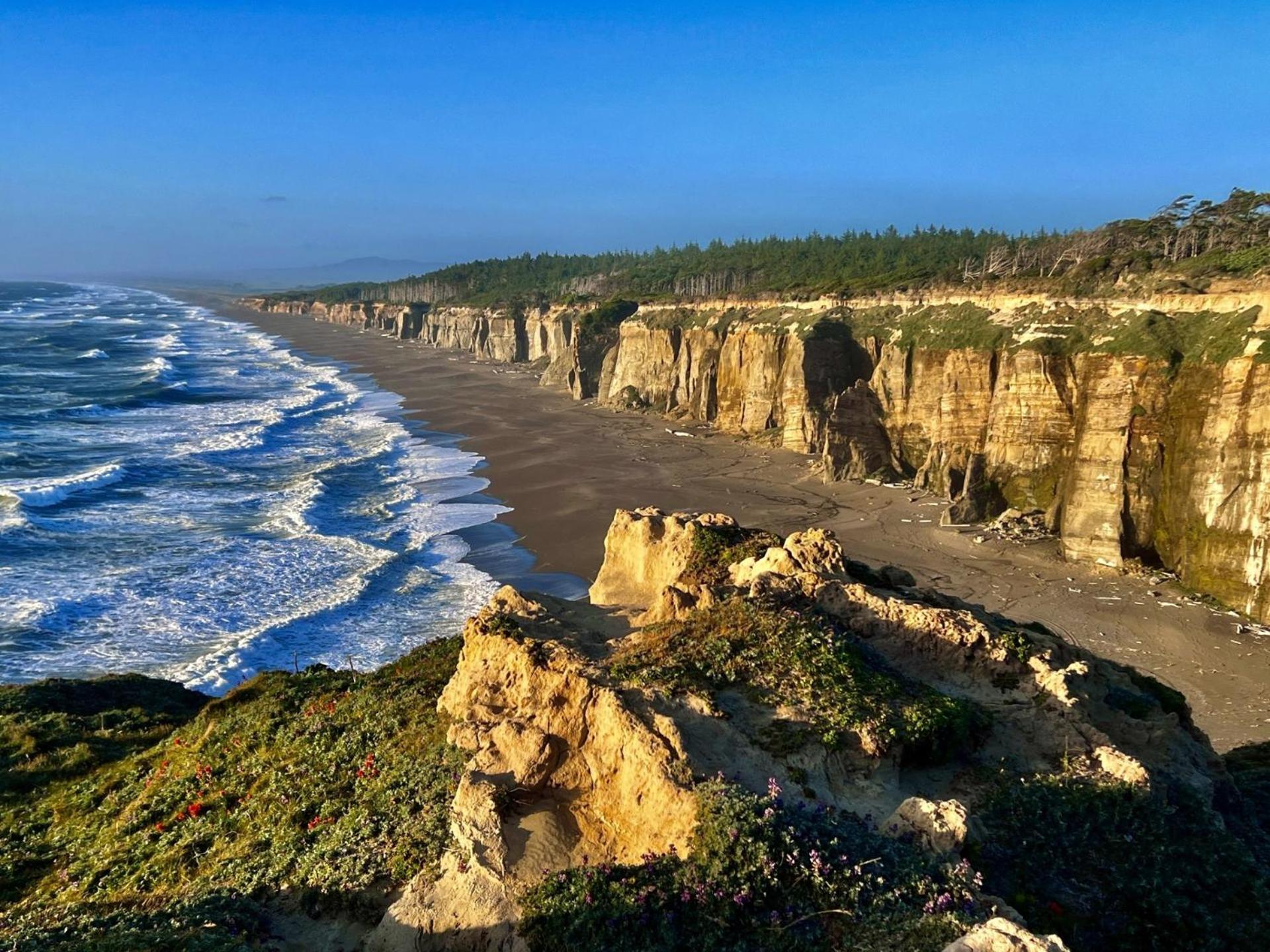 The Cove At Port Orford - 5 Ocean Front Suites 외부 사진